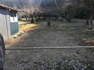 IMG_3709